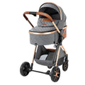 2-in-1 Reversible Baby Stroller