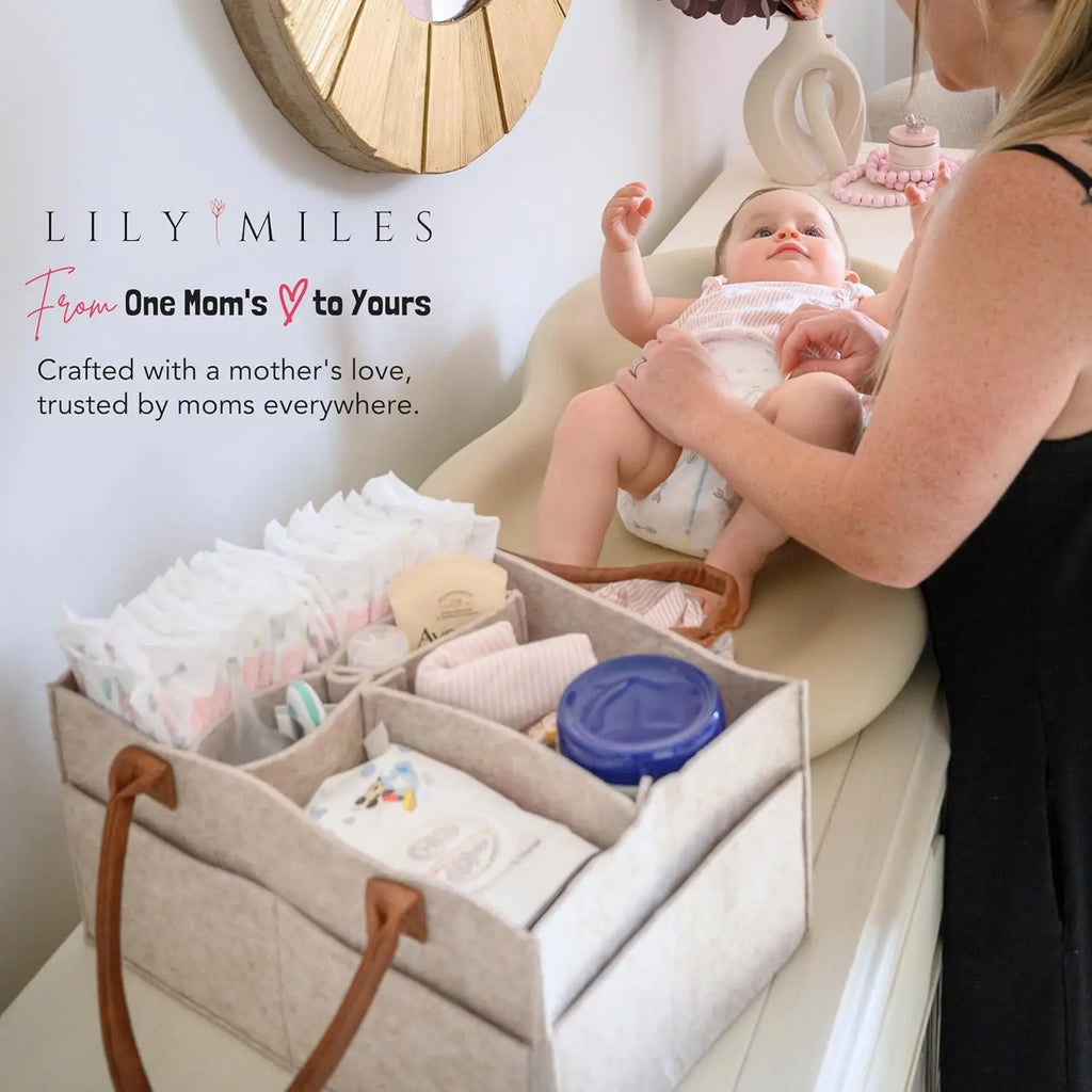 Baby Nursery Storage Organizer