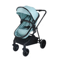2-in-1 Foldable Baby Stroller