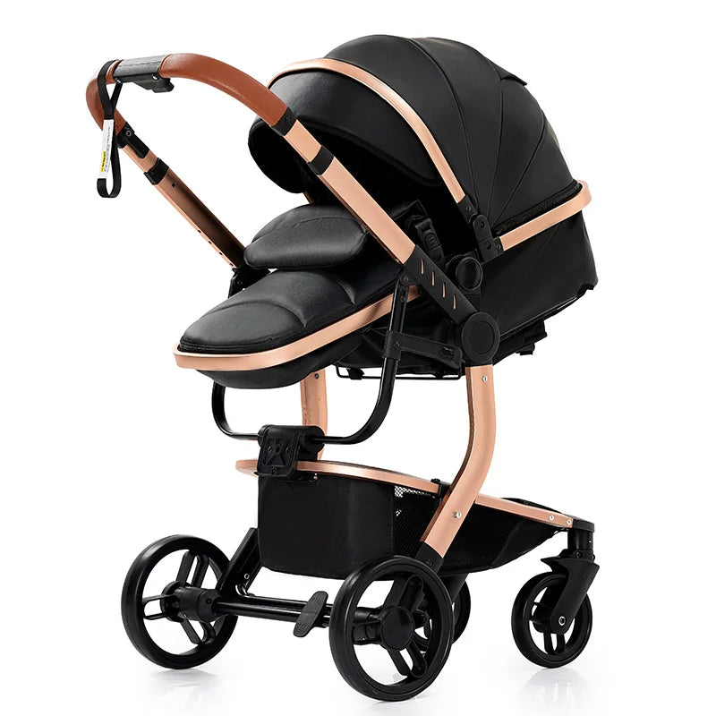 2-in-1 Lightweight Baby Stroller