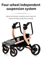 2-in-1 Lightweight Baby Stroller