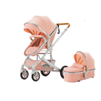 2-in-1 High View Baby Stroller